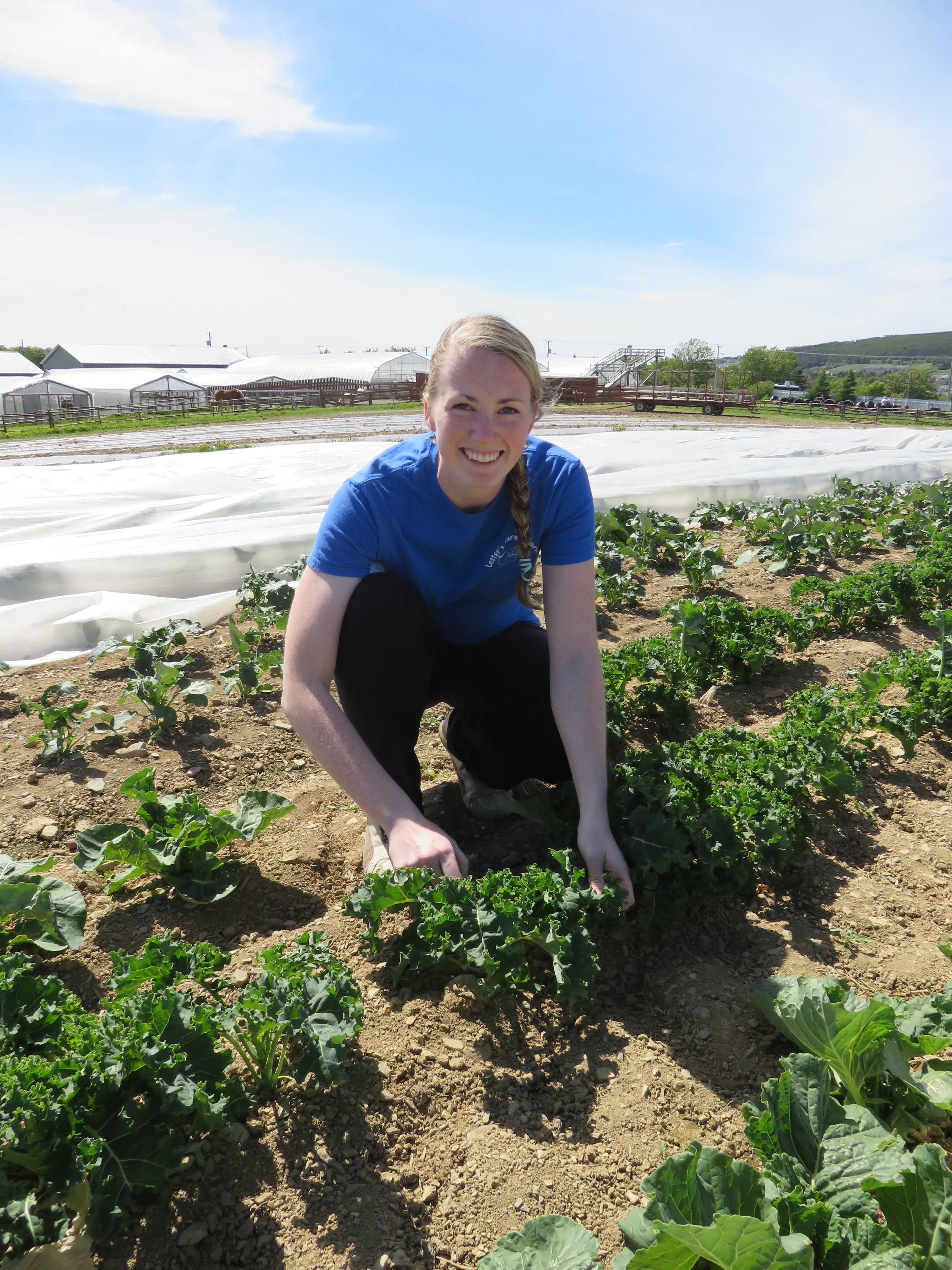 Susan Lester checks on the progress of a crop of kale.