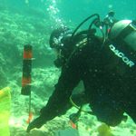 Scientific diving