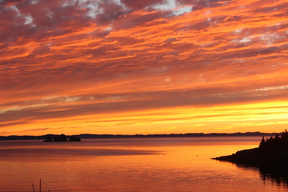 The stunning scenery of Trinity Bay South drew Jerry Byrne to the region.